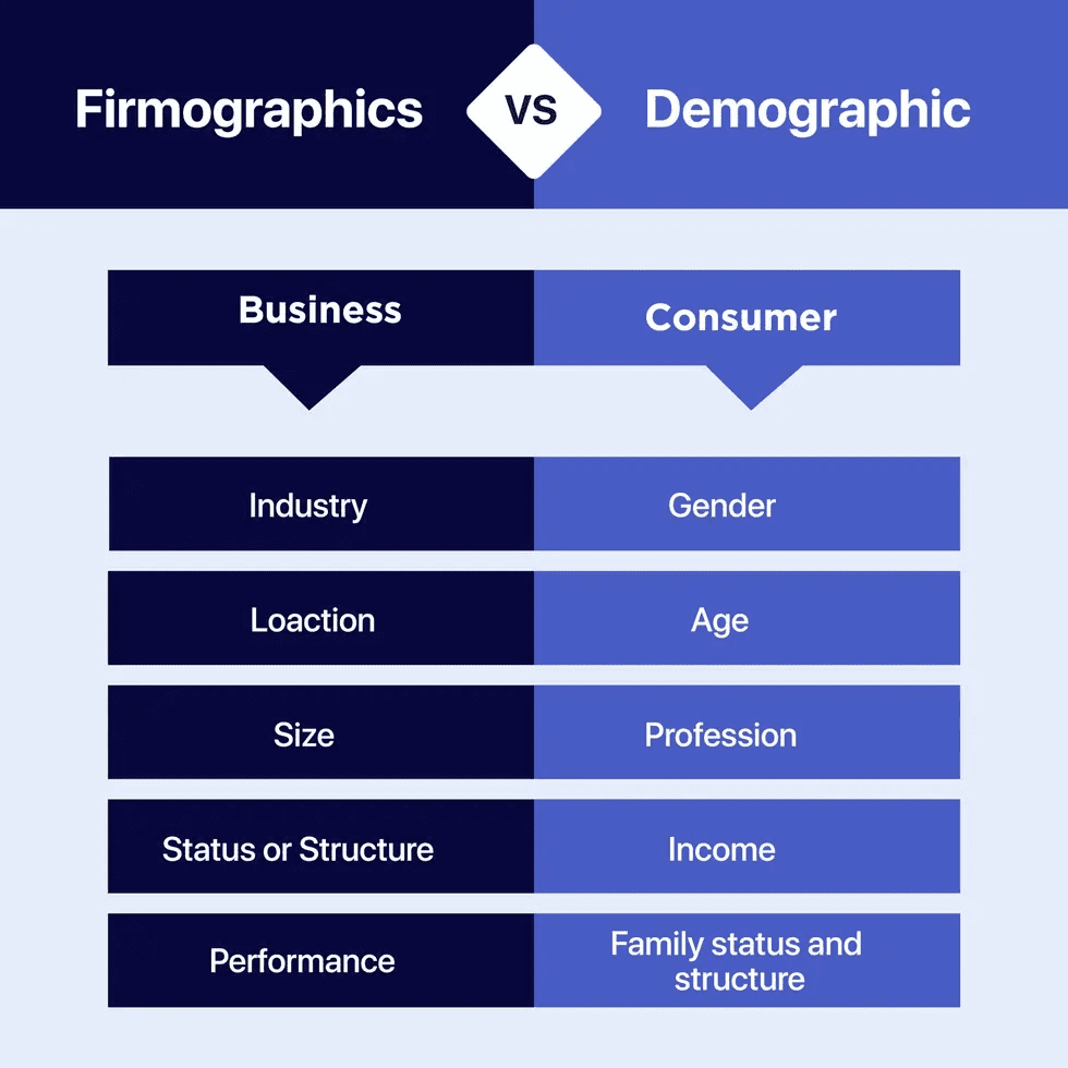 Demographic and firmographic segmentation