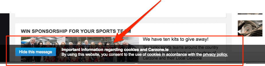 Disclaimer on website regarding cookies screenshot